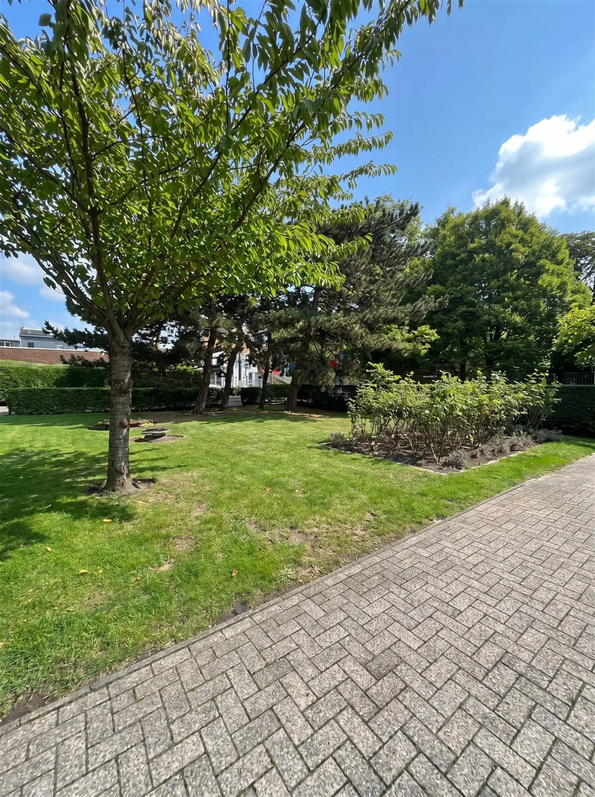 Appartement met 3 slaapkamers te koop in Borgerhout ! foto 10