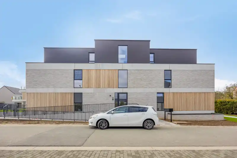 Denderleeuw, Anjelierenlaan - Steenweg foto 2