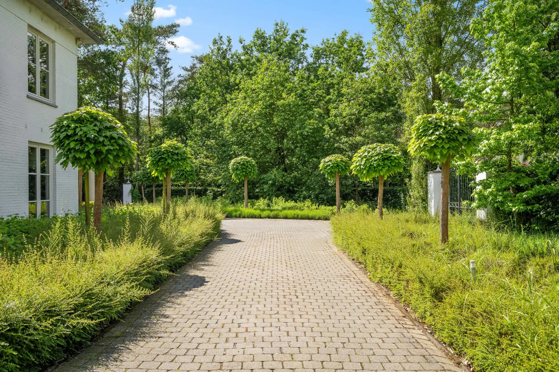 Royale, instapklare villa te KEERBERGEN foto 5