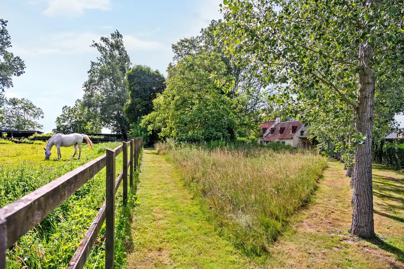 Exclusieve landelijke villa met paardenaccommodatie op ca 1,6ha foto 34