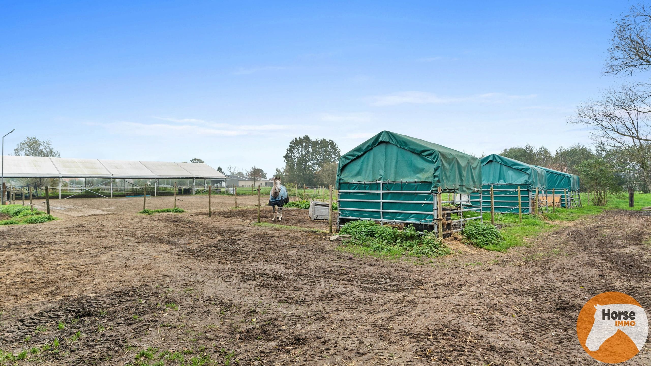 LOKEREN - Energiezuinige woning met paardenfaciliteiten foto 21