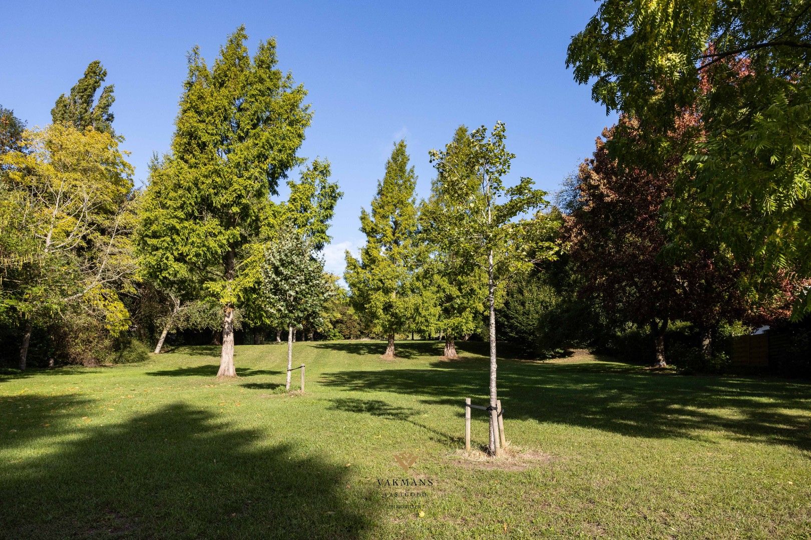 Toffe woning met 4 slaapkamers aan Malanderpark foto 27