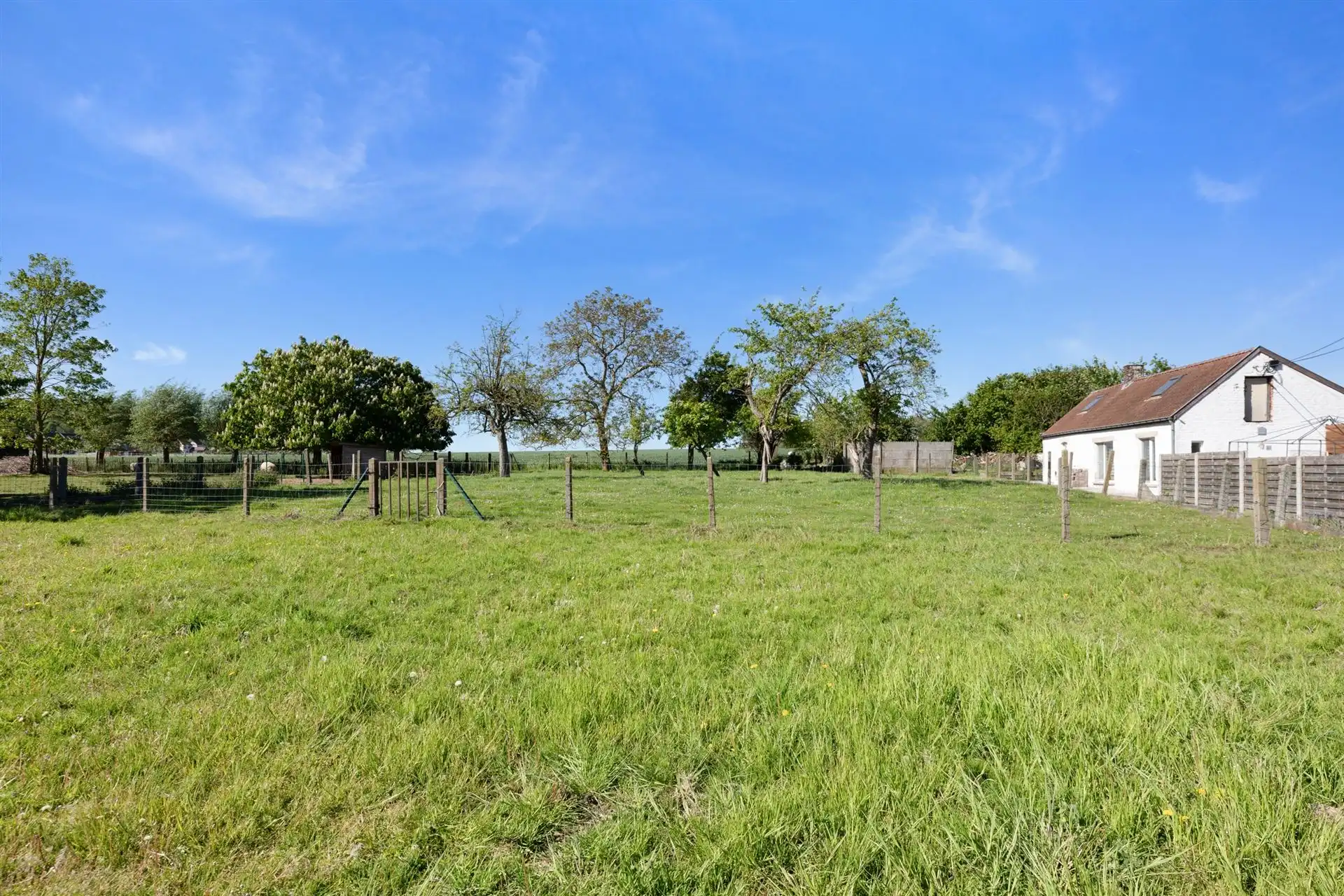 Te renoveren boerderij op ruim perceel in Kluisbergen foto 5