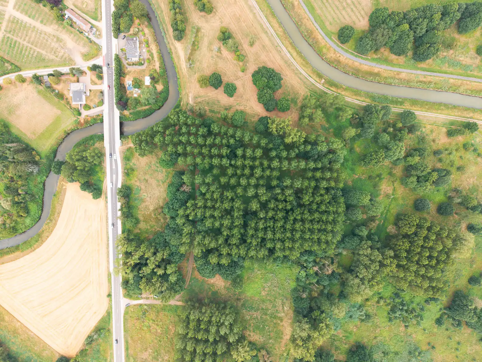 Bosgrond in een oase van groen foto {{pictureIndex}}