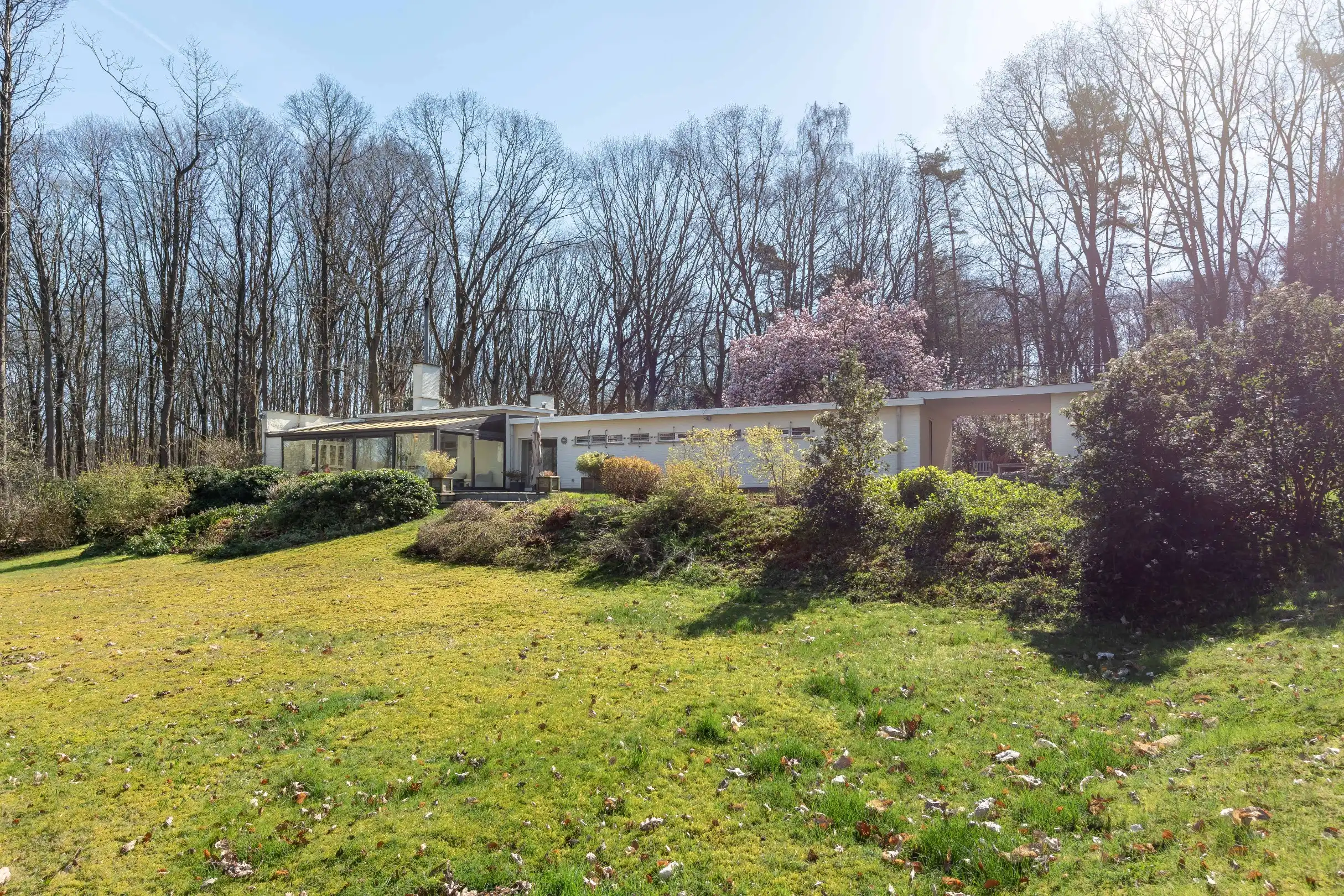 Unieke laagbouwvilla op 85 are parkgebied te Holsbeek foto 20