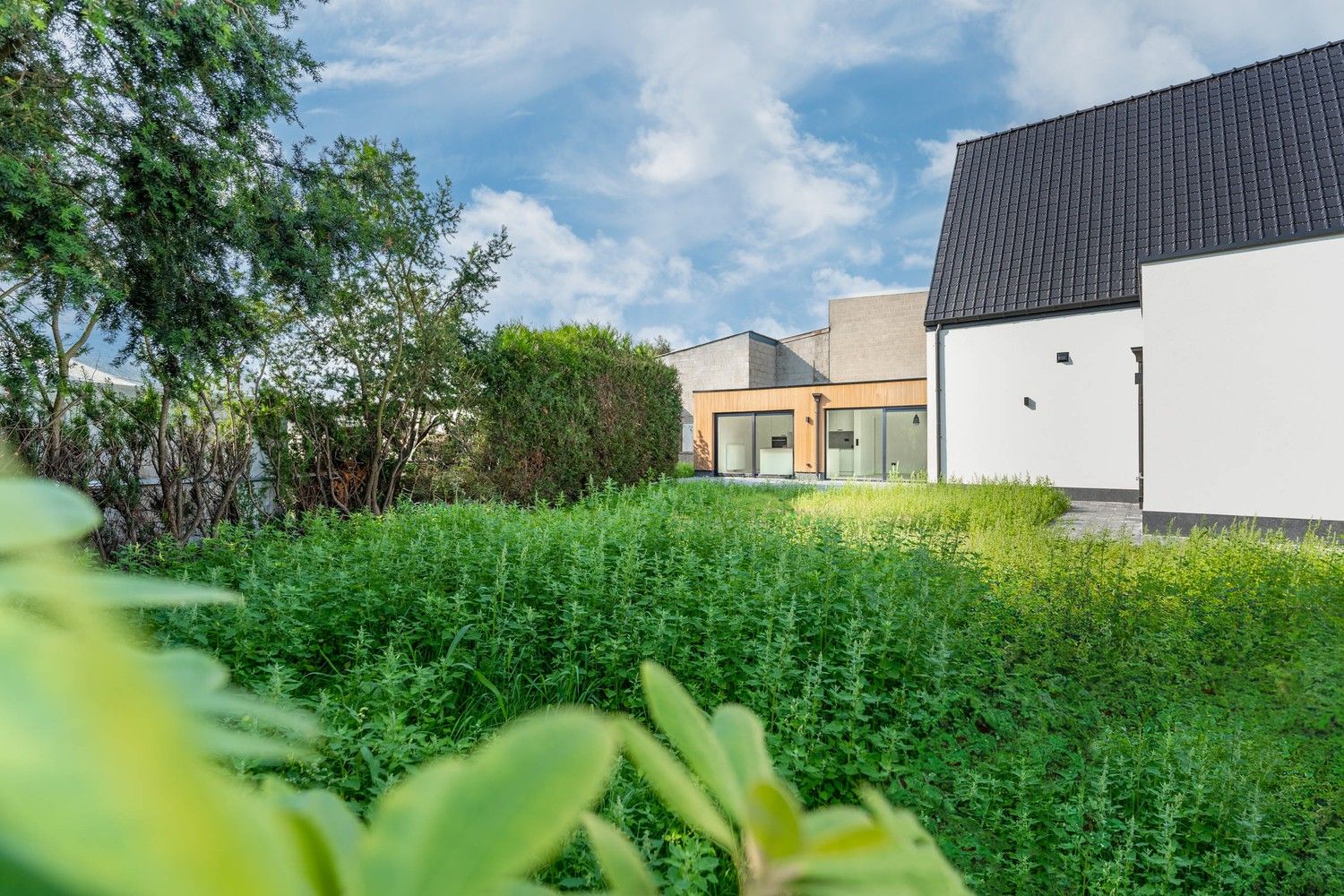 Volledig gerenoveerde woning met zeer veel mogelijkheden foto 42