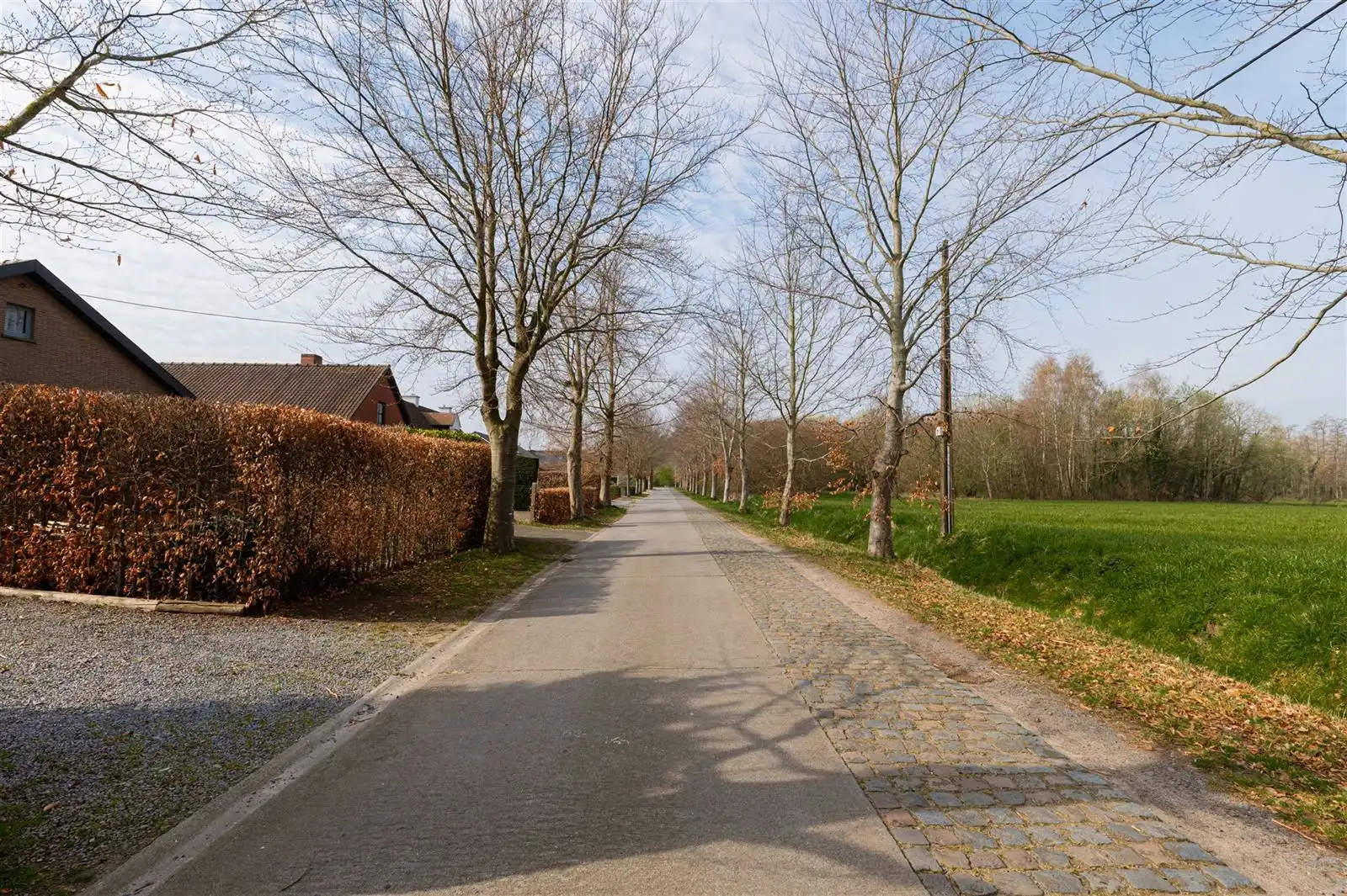 Bouwgrond voor open bebouwing met privatieve oprijlaan! foto 6