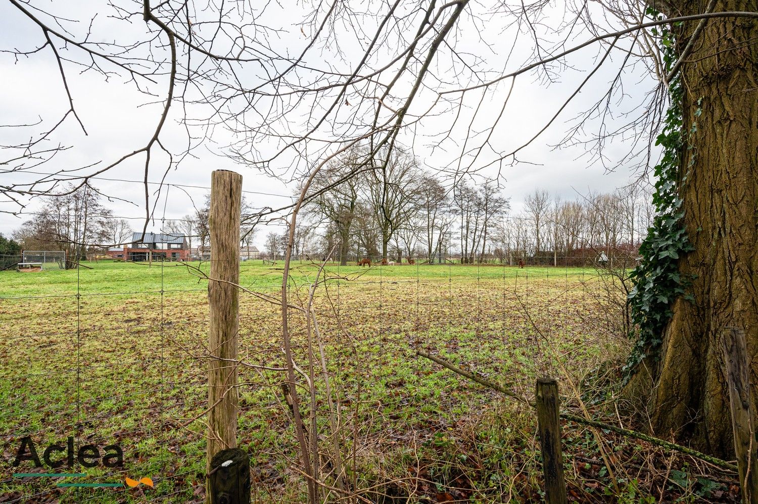 Landelijke woning op een groen ruim perceel foto 35