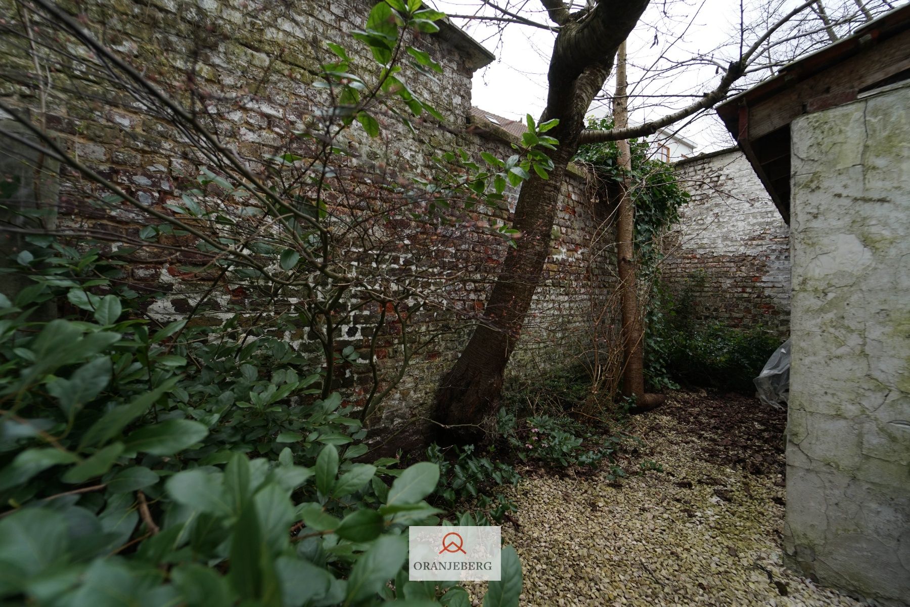Ruime burgerwoning met stadstuint te Sint-Amandsberg foto 5