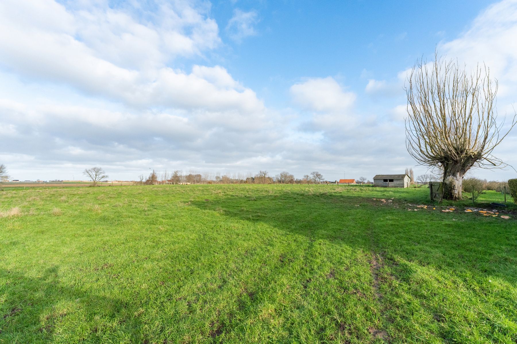 Prachtig gelegen landhuis op 4ha foto 39
