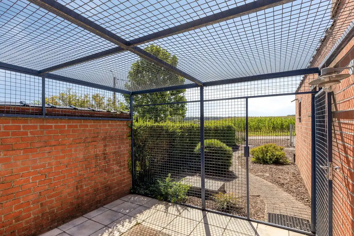 Charmante woning te koop te Grimbergen foto 25