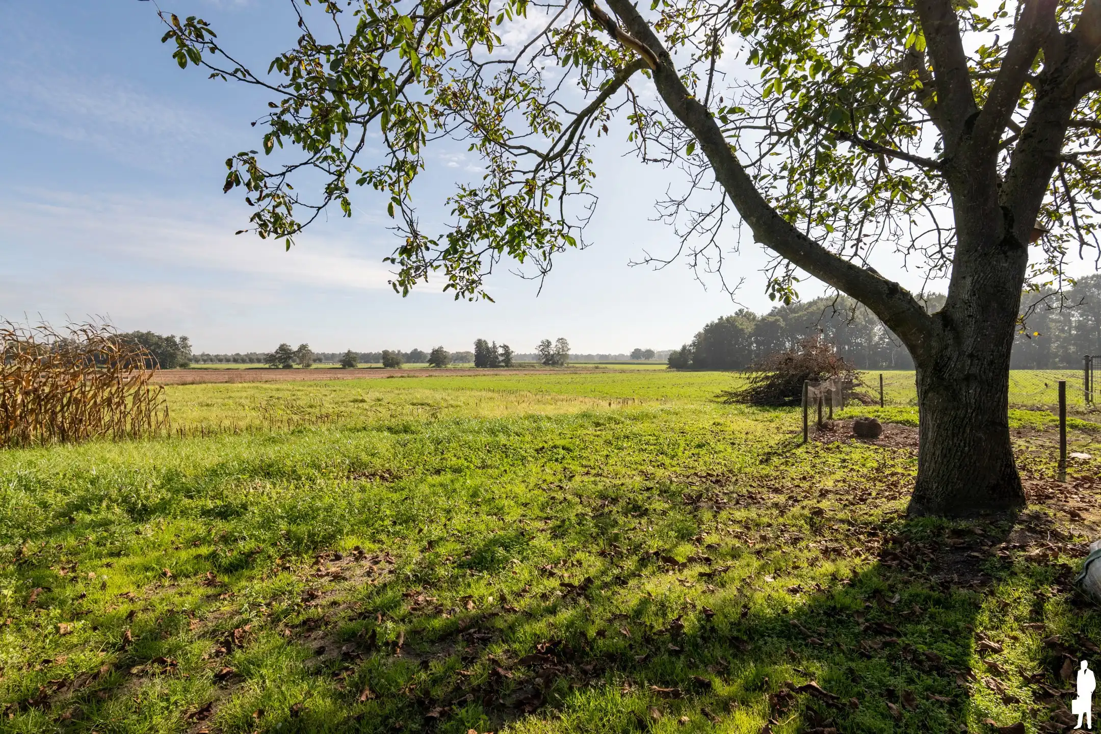 Villa met matgazijn op een perceel van ca. 2.000m² aan de groene rand in Poppel foto 36