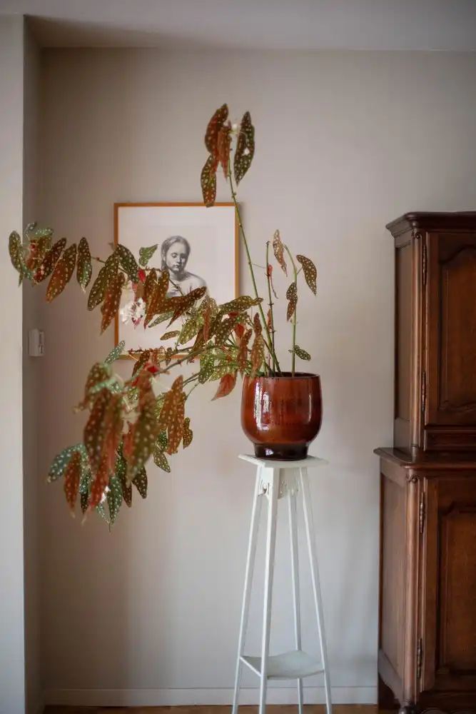 Lichtrijk 3 slk appartement met EPC A foto 16