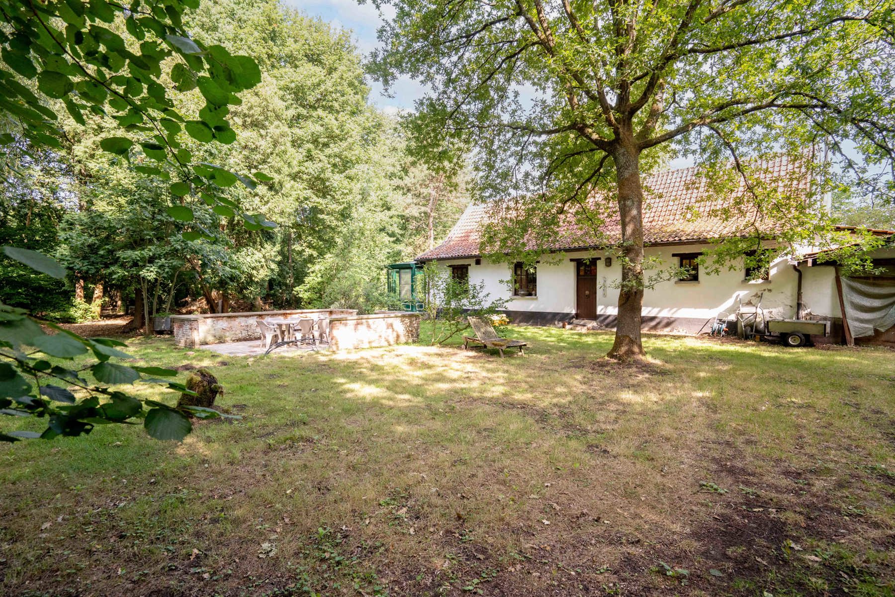 Unieke hoeve op domein van 1,5 ha – pure rust en natuurbeleving in het groen foto {{pictureIndex}}