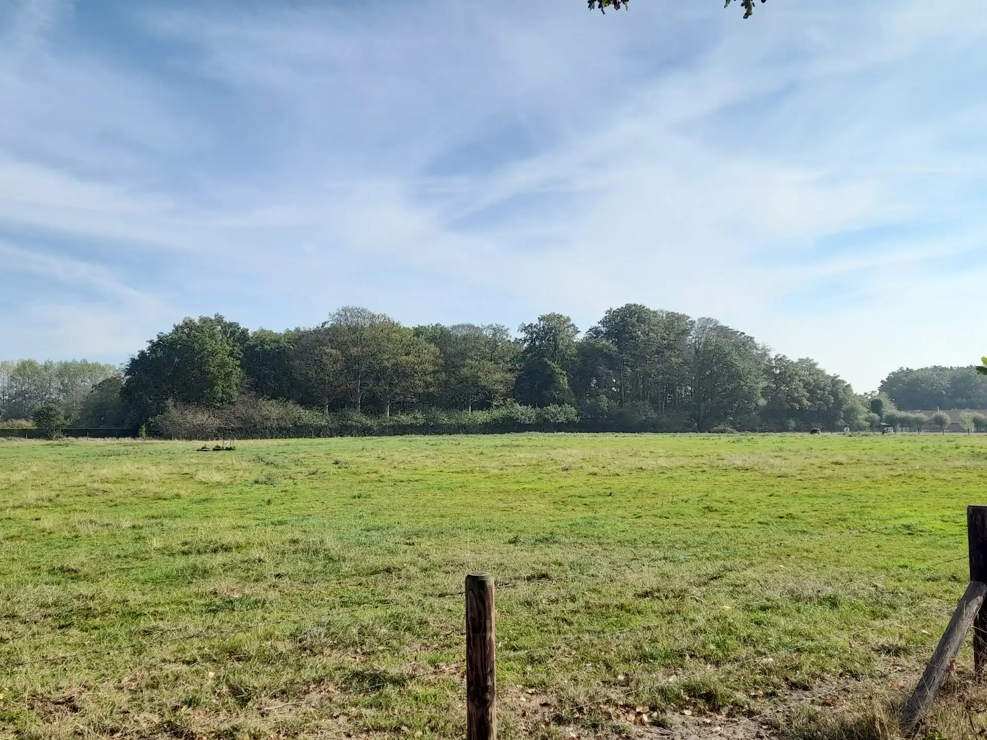 Langgevelhoeve met grote schuur, bakhuis en verwarmd zwembad foto 42