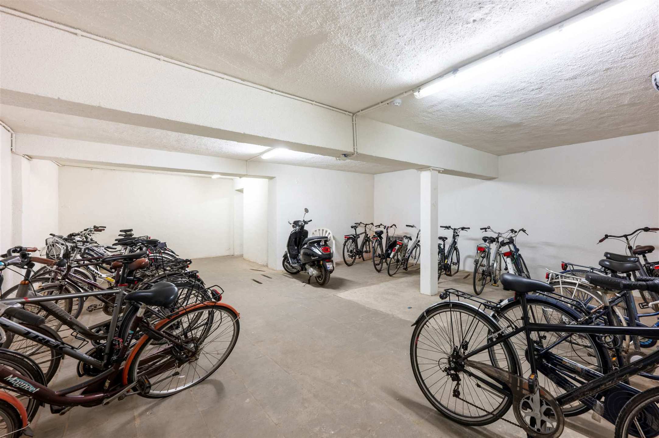 Lichte en privé studentenkamer in een topbuurt foto 12
