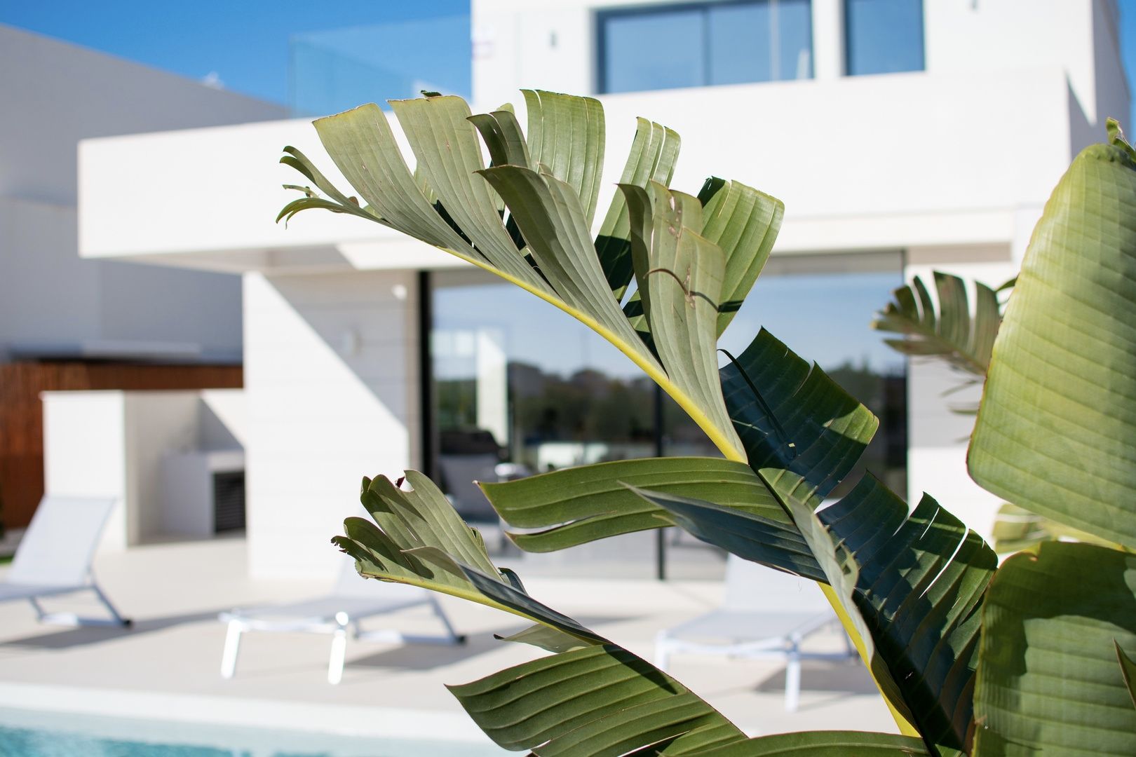 Mooie villa's in Los Montesinos foto 19