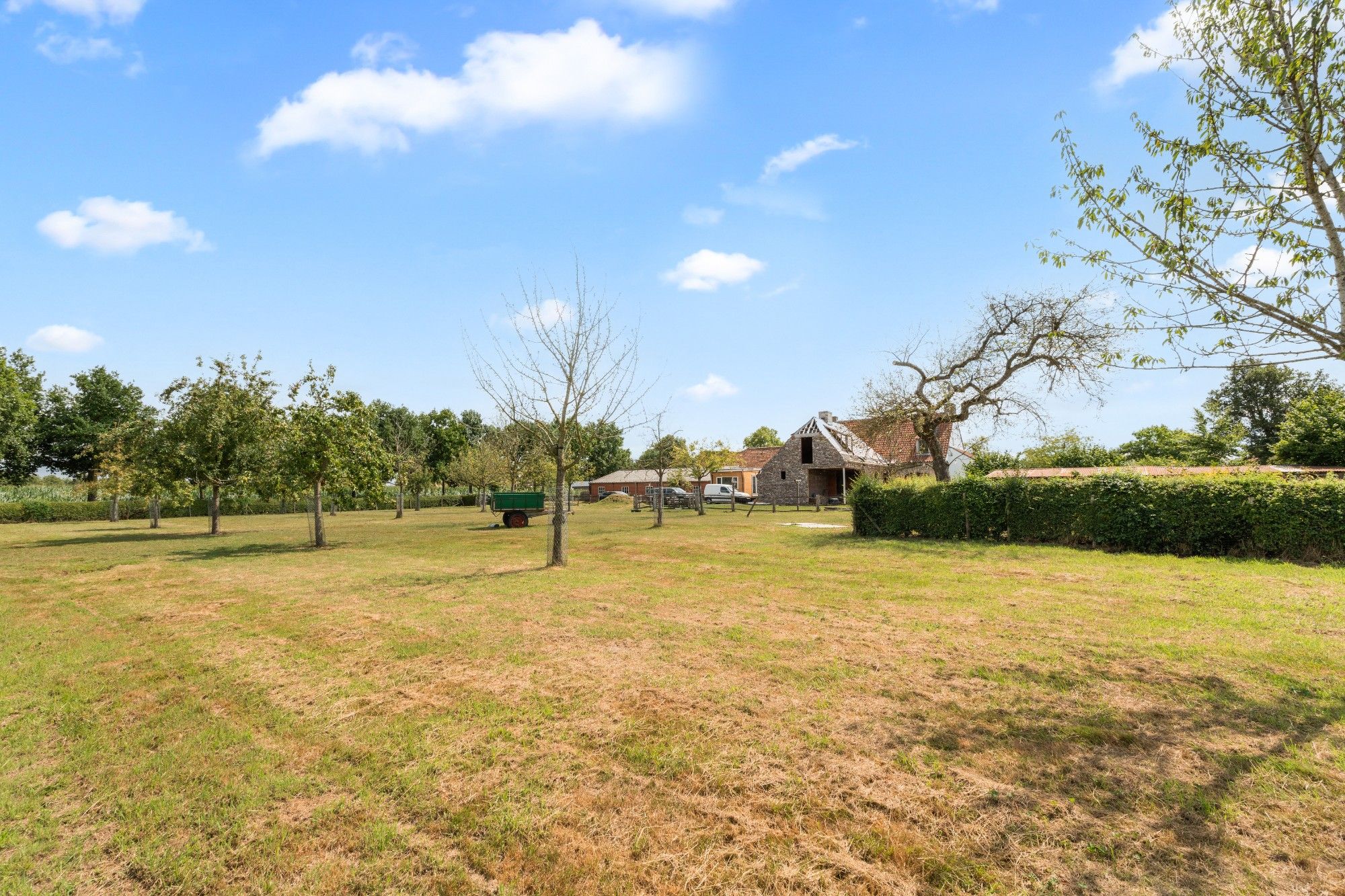 Charmante hoeve met paardenstallingen en schuur op 11.908 m² vlakbij het Drongengoed foto 39