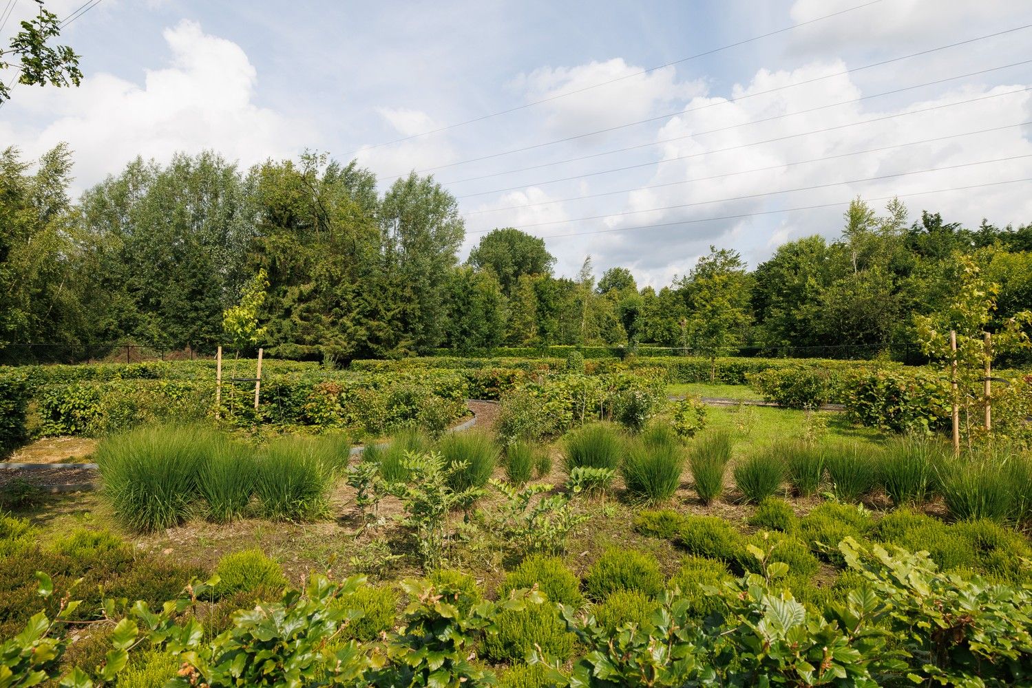 Zeldzaam penthouse met unieke terrassen in groene omgeving foto 31