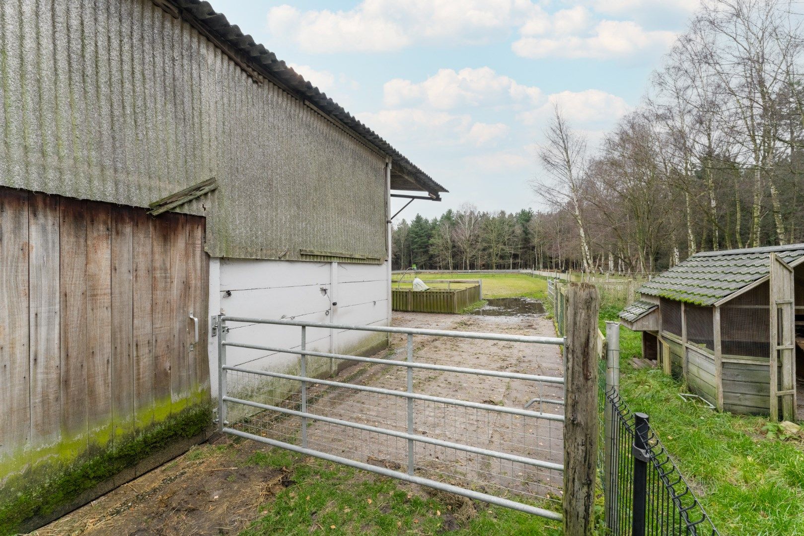 Ruime gezinswoning met 4 slaapkamers op 42,5 are te koop! foto 6