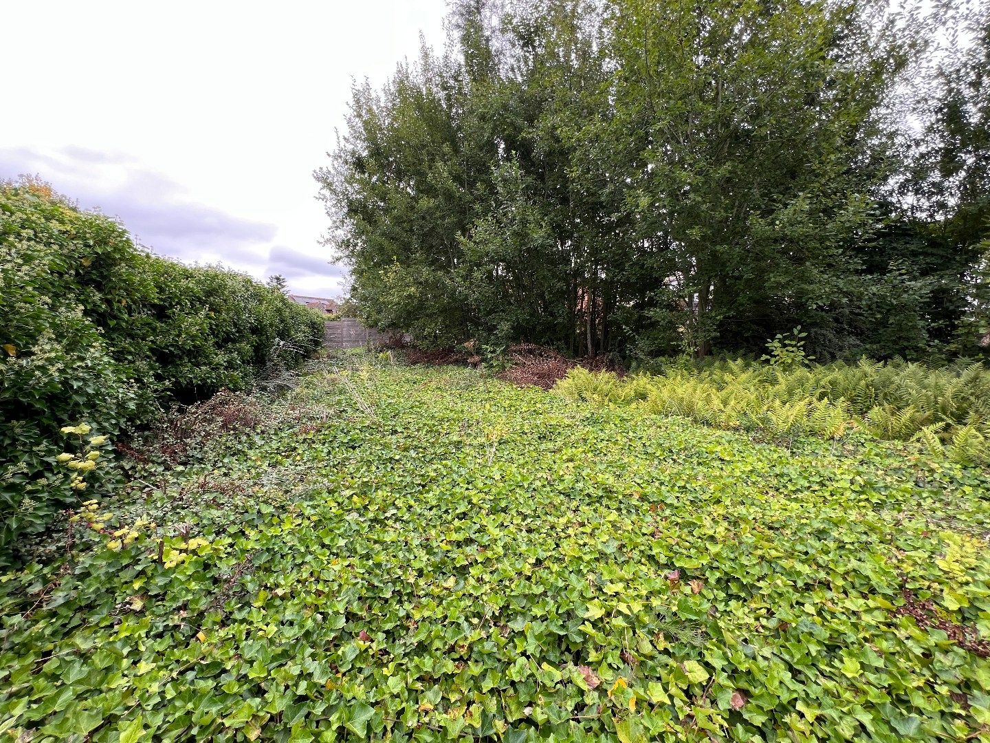 Residentiële villagrond voor OB - 716m². foto 4