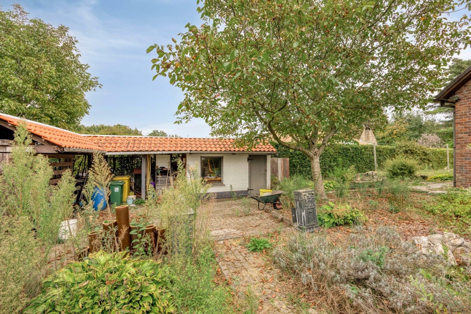 Op te frisse woning met 3 slaapkamers op 1.441 m² te Retie !  foto 26