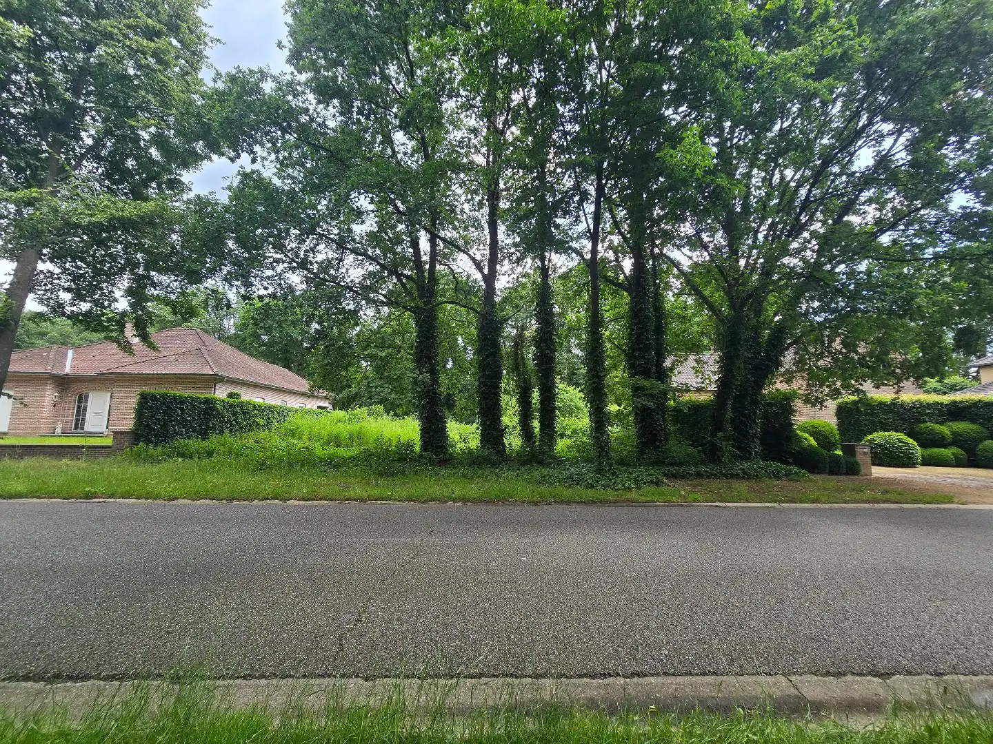 Bouwgrond voor OB, 9a16ca, met zicht op groen foto 2