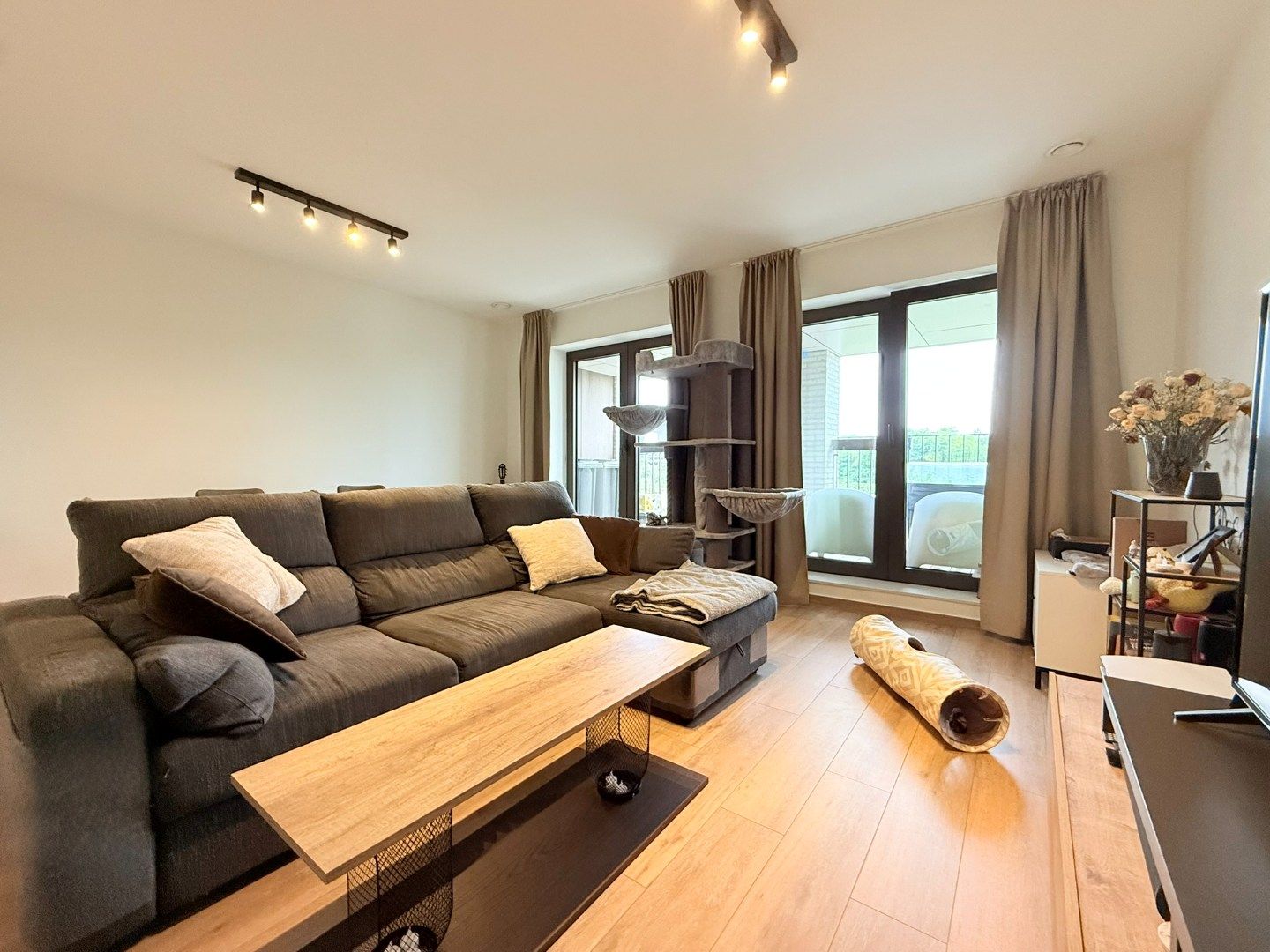 Lichtrijk modern appartement in Machelen foto 3