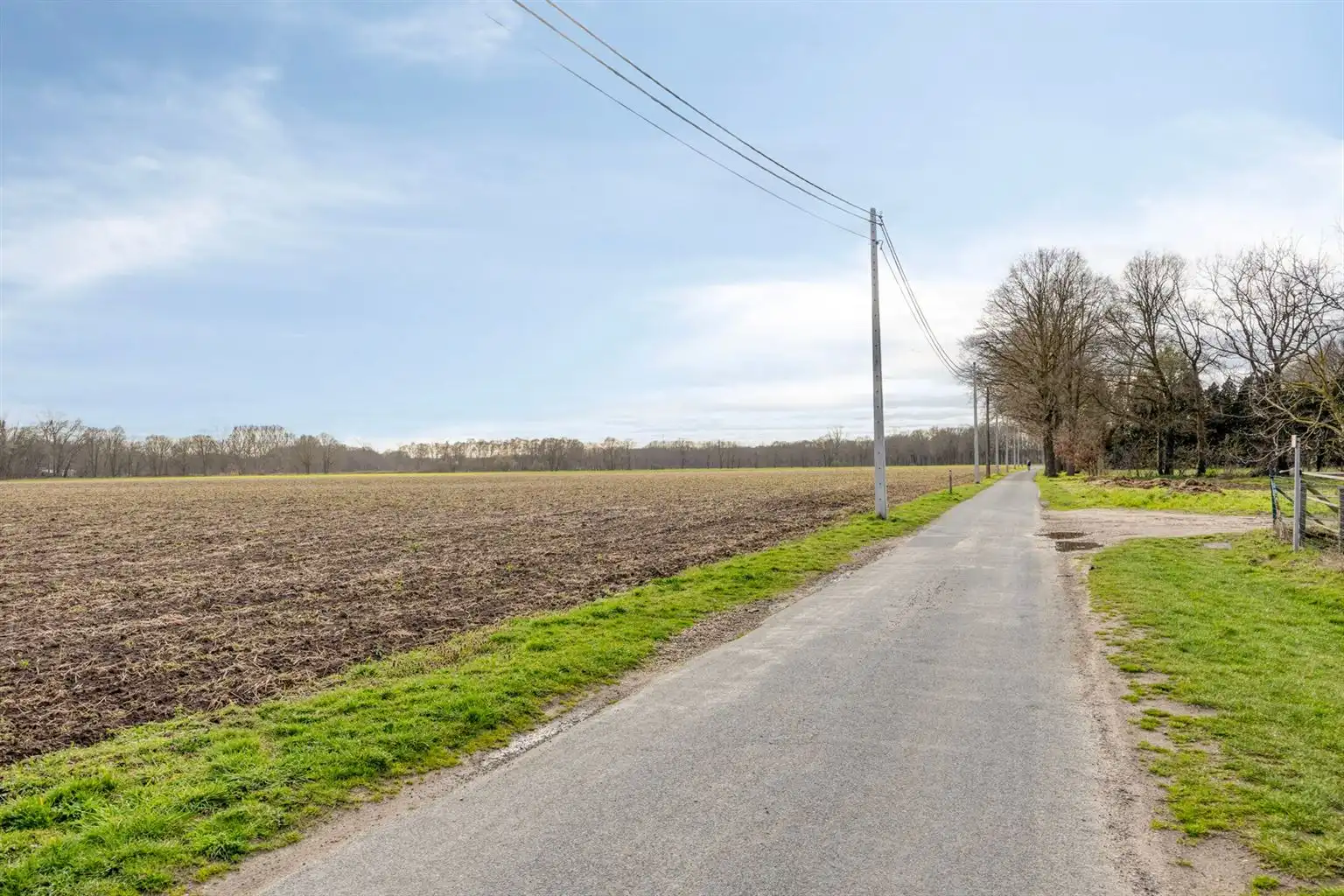 Vrijstaande woning op een uitzonderlijk perceel van 29a95ca met 4 slaapkamers en inpandige garage, gelegen op een rustige toplocatie nabij het centrum van Maaseik. foto 31