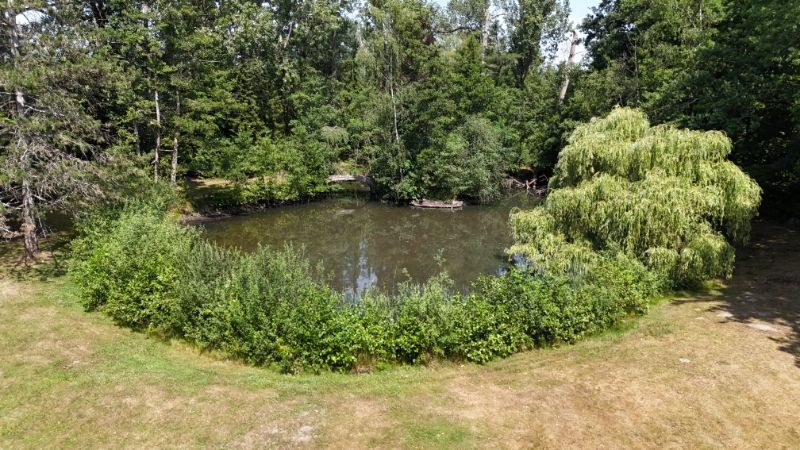 Kasteelvilla met bijgebouw op uniek domein 1 hectare 71 are met grote vijver foto 10