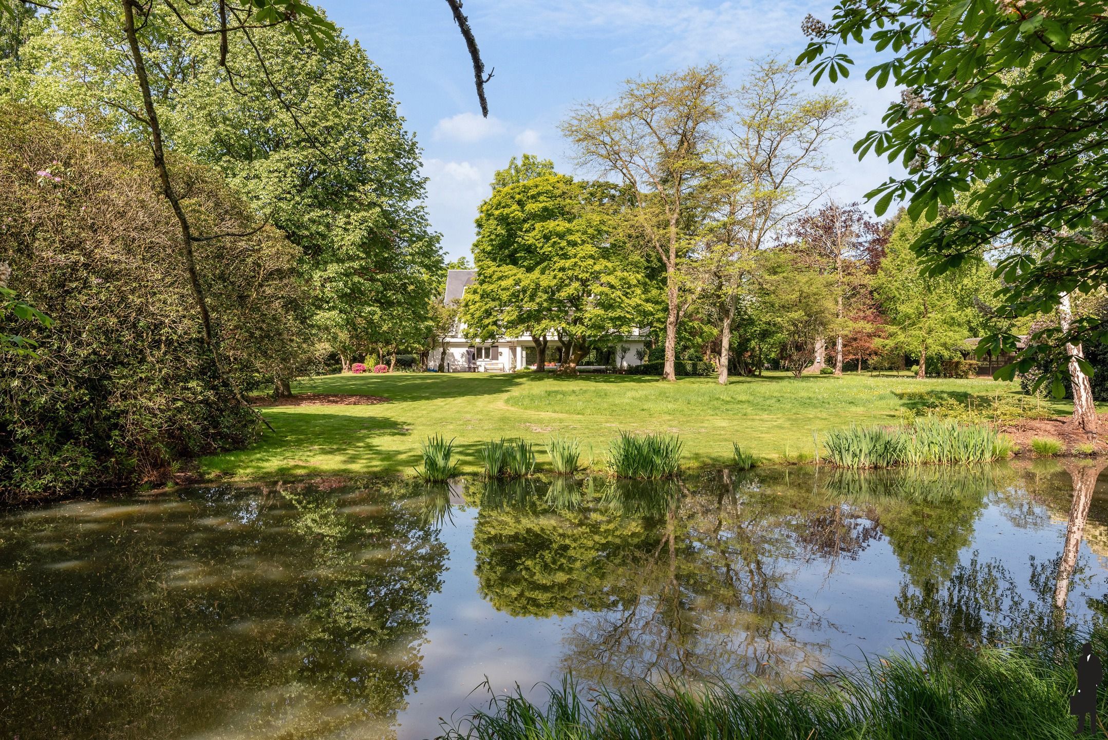 Uniek domein "Hof Van Lachenen" met 2 villa's te koop in Lier.  foto 13