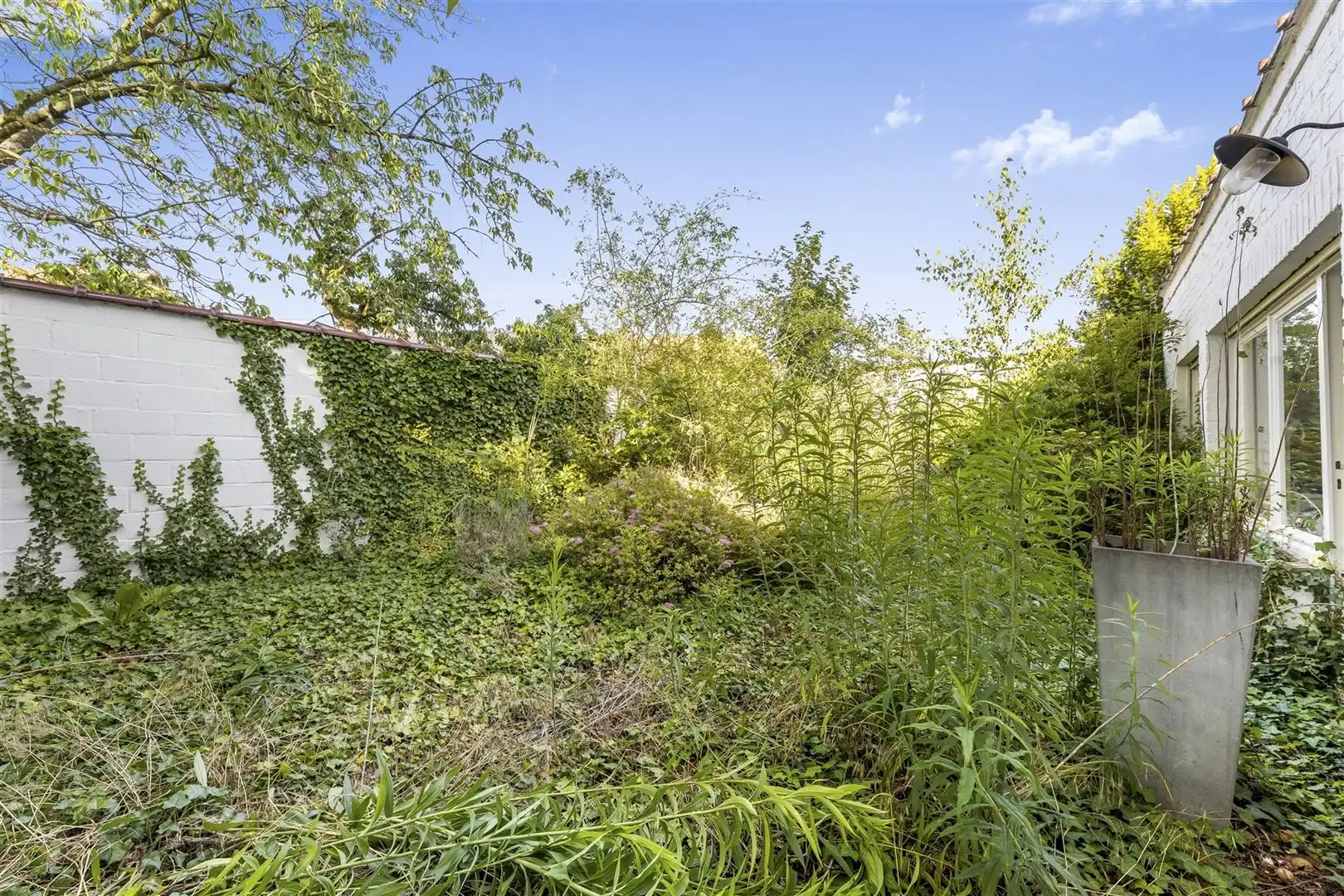 Open bebouwing  foto 8