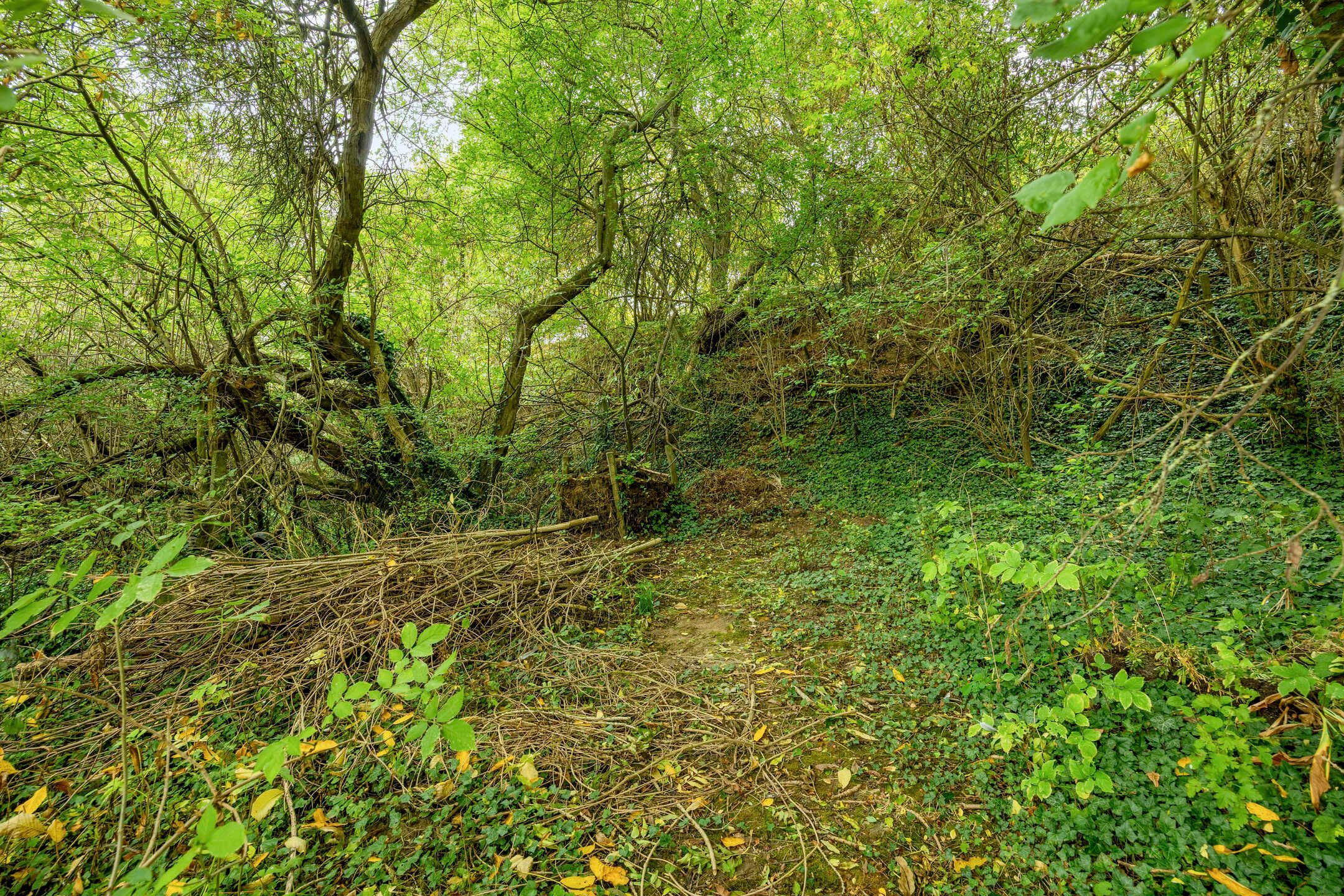 Wonen in het groene Hoegaarden: charmant, omringd door rust foto 28
