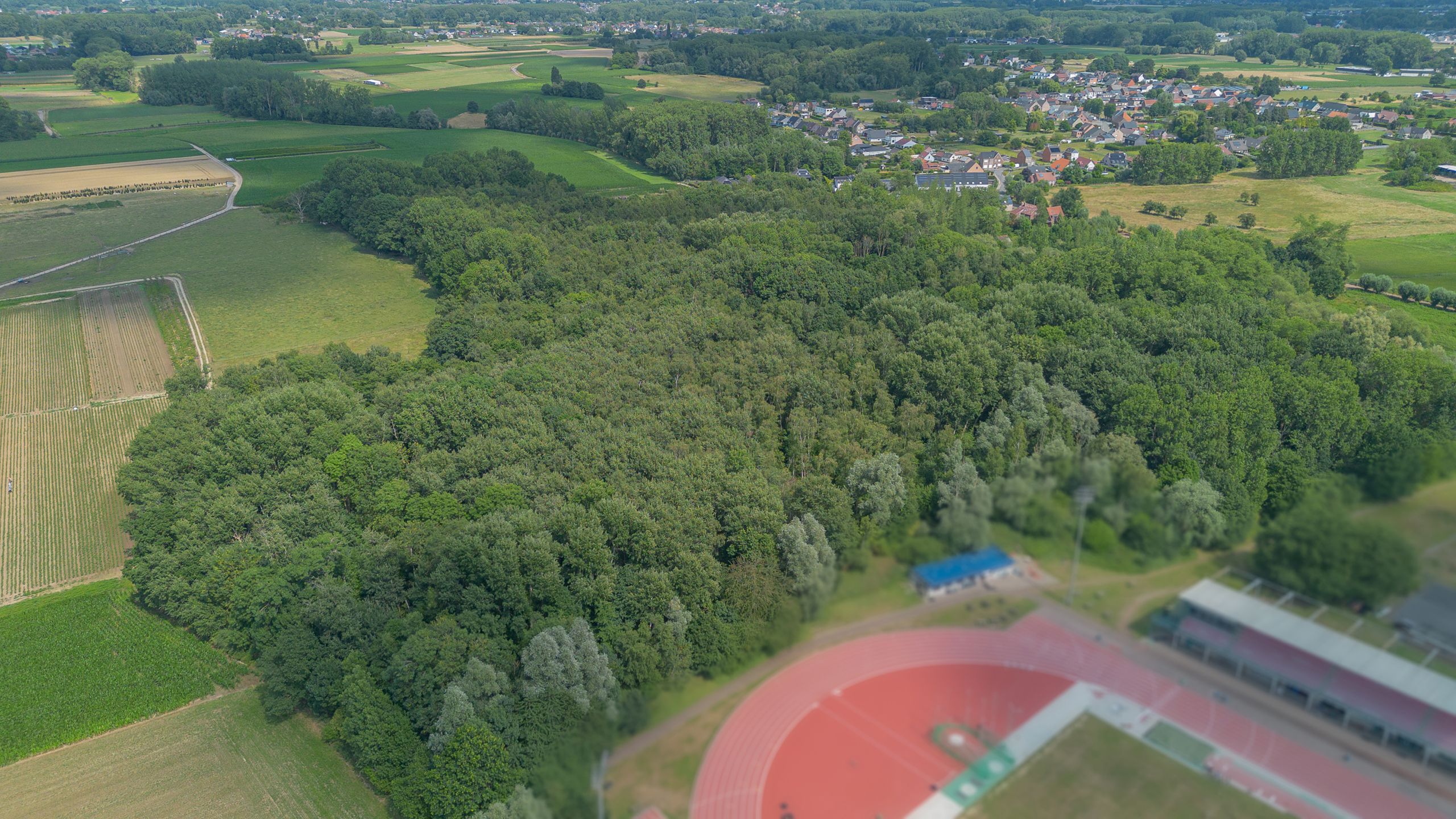 OORDEGEM - bos 2ha 21ca foto 3