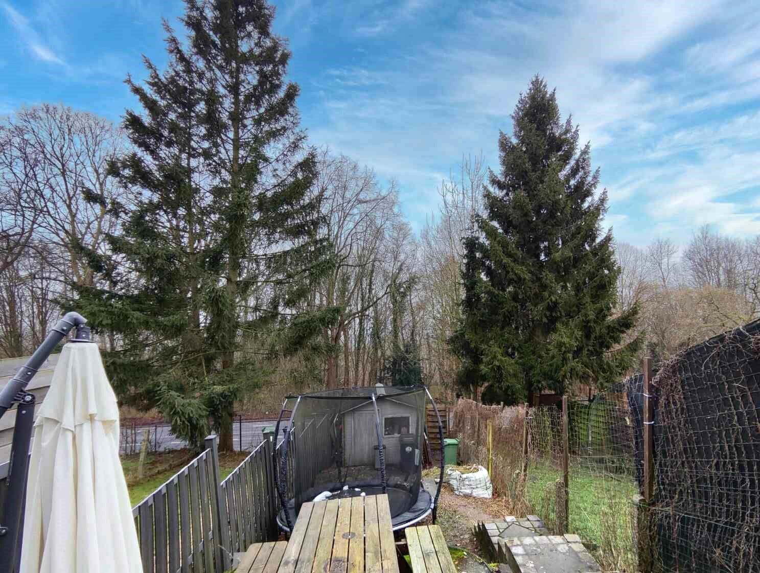 Prachtig onderhouden woning met zonnige tuin en uitzicht op de natuur.  foto 5