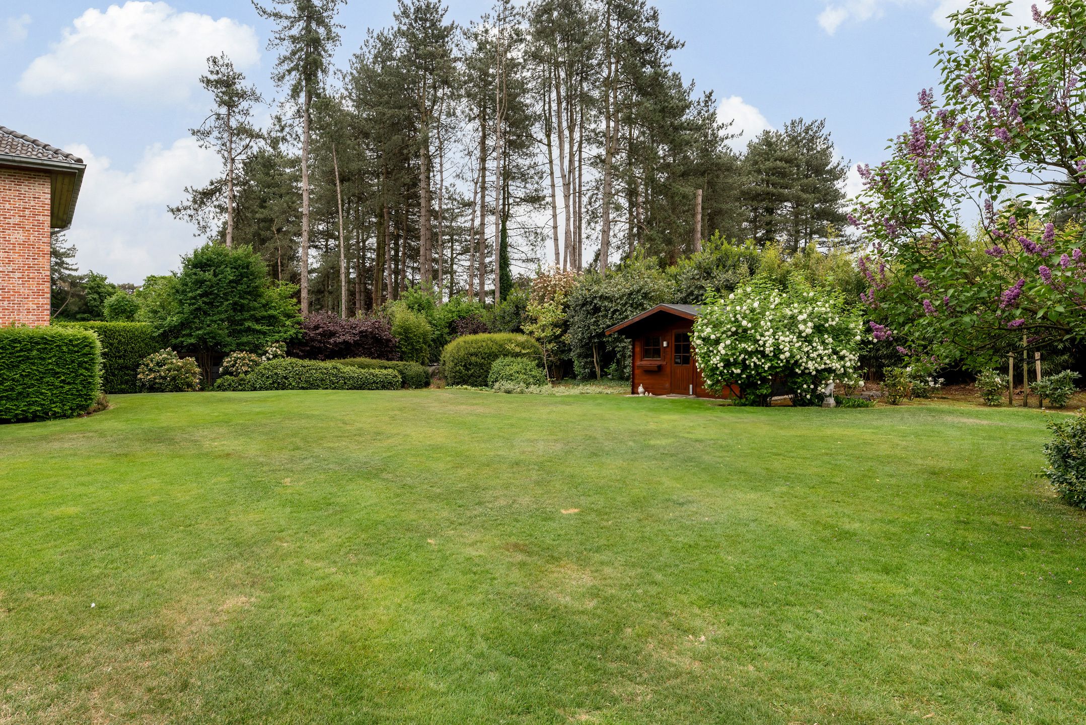 Lichtrijke villa met zuidgerichte tuin in groene wijk foto 25