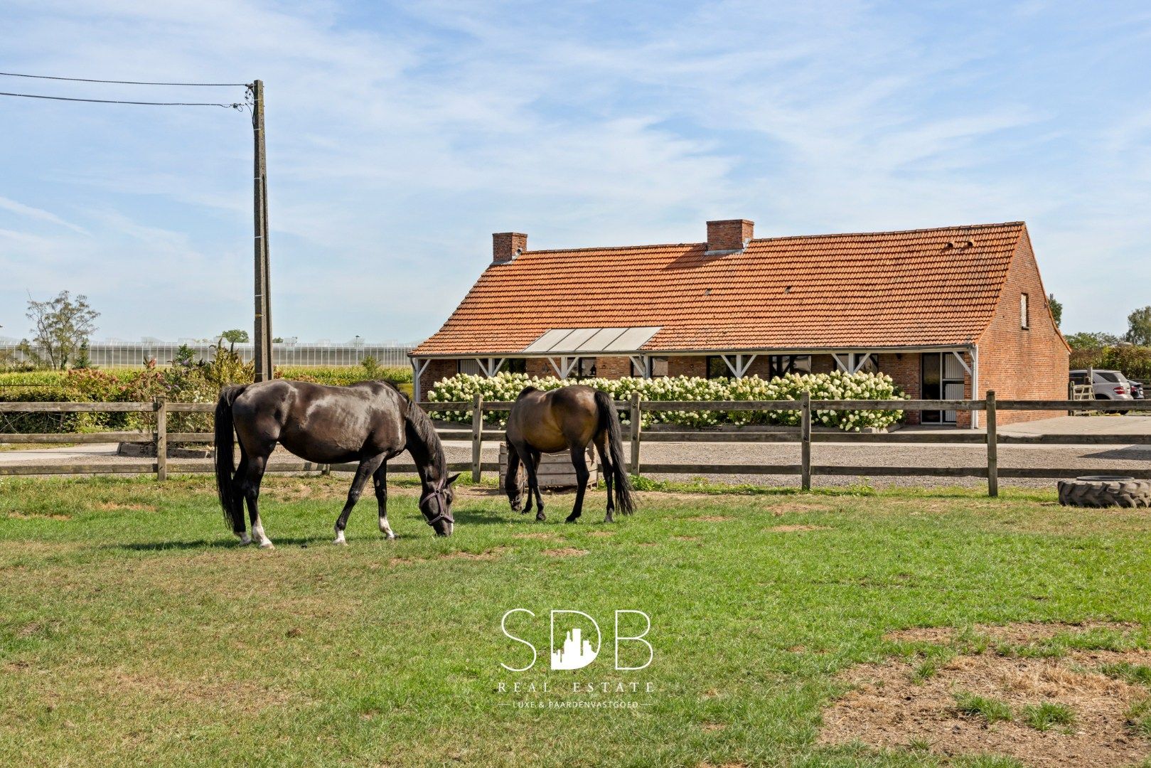 Prachtige landelijke woning met hippische accommodatie op 2,5hectare foto 21
