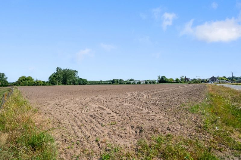 Twee percelen landbouwgrond te koop te Vurste foto 4