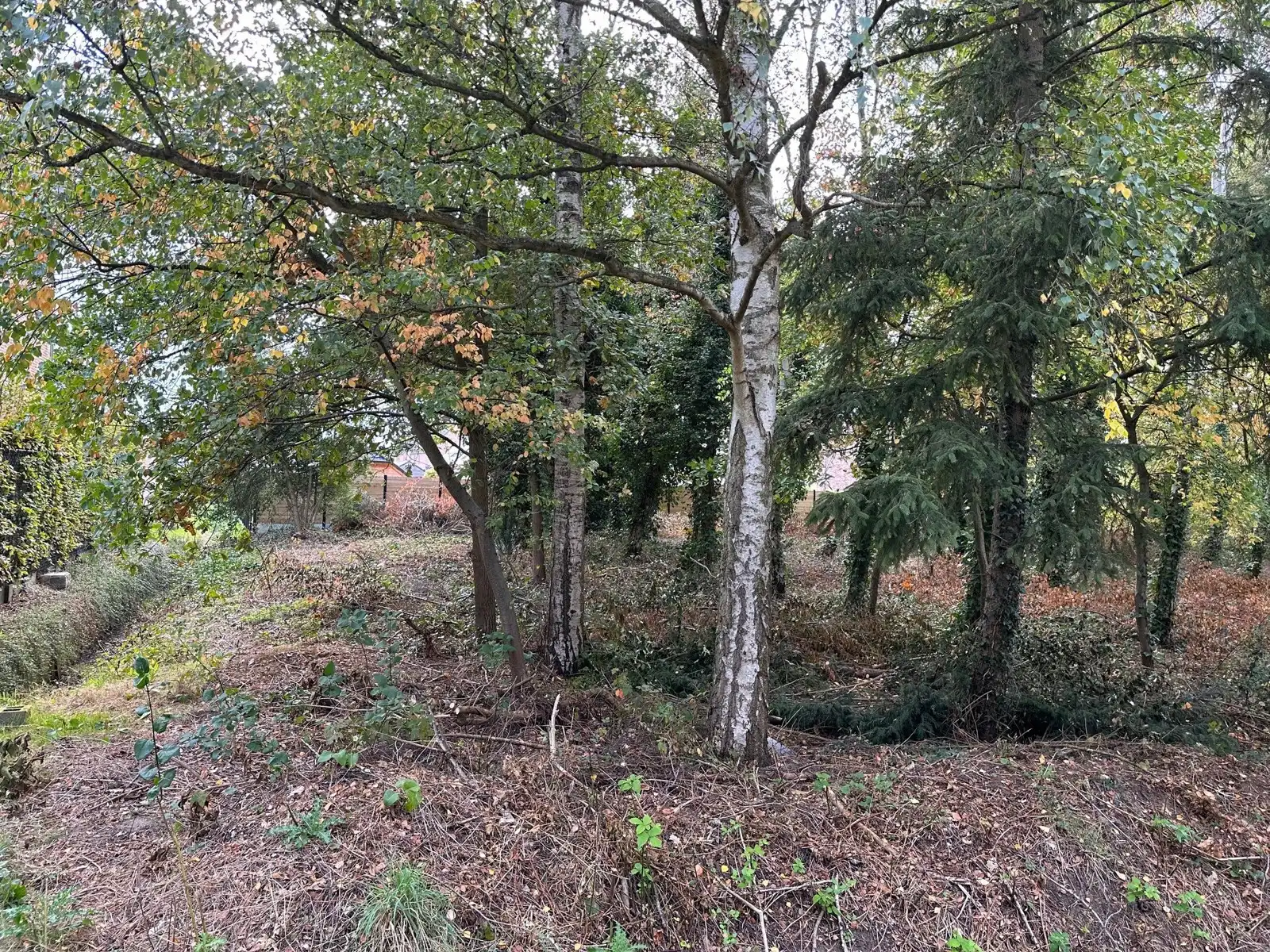 Achtergelegen bouwgrond OB 810 m2 te 3140 KEERBERGEN foto 5