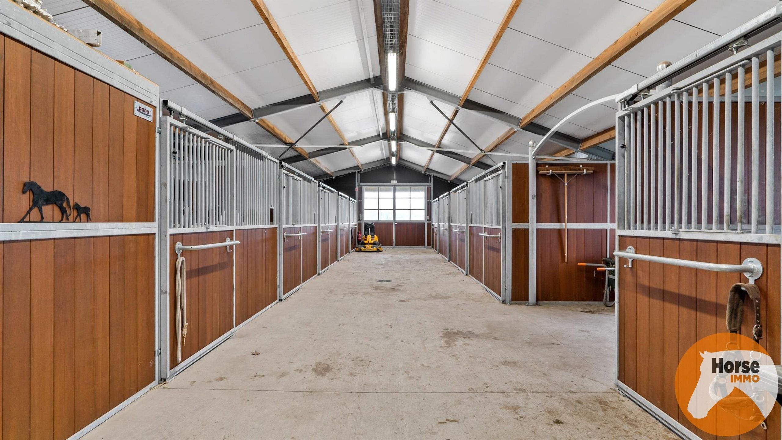 DAMME – Instapklare paardeneigendom, piste en extra woonhuis foto 11