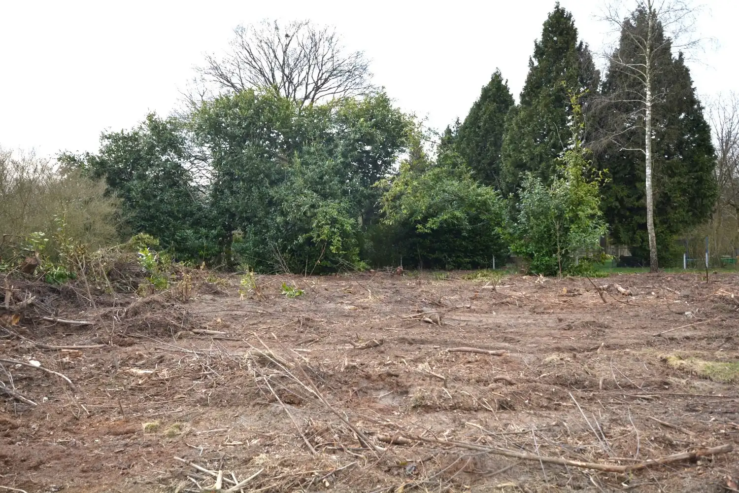 PERCEEL RECREATIEGROND VAN 1.610 m² foto 5