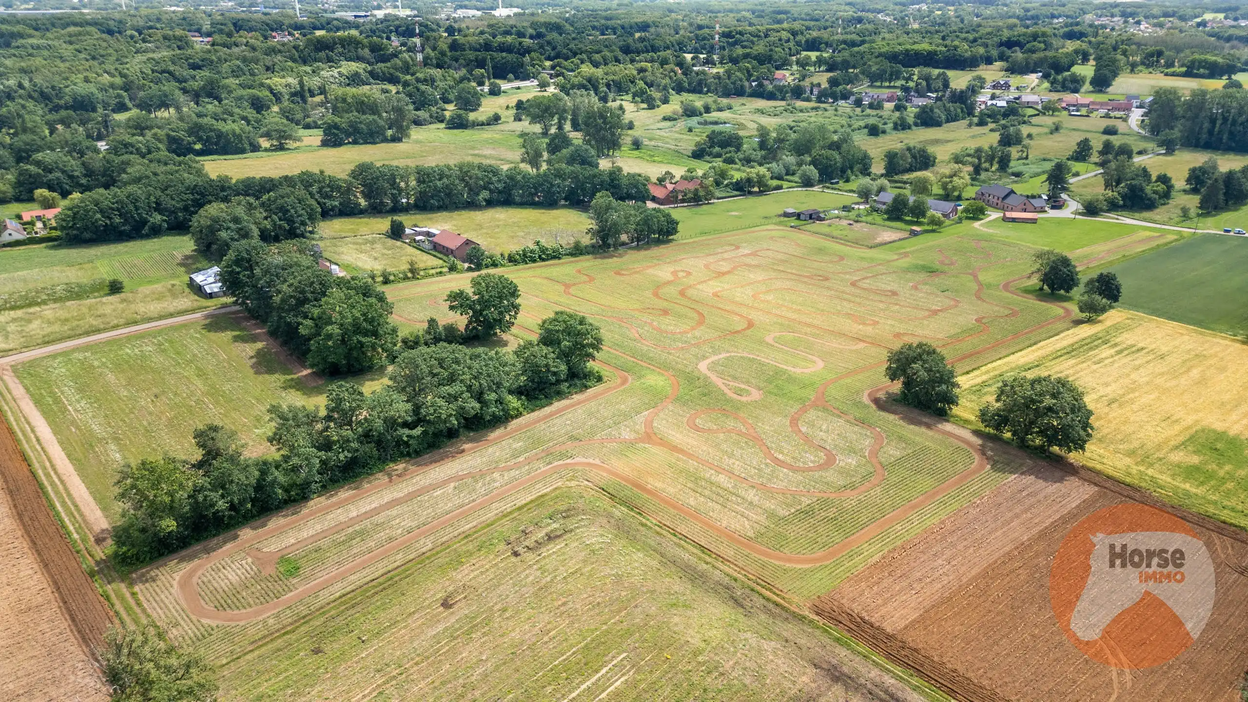 PAAL - Landelijk doch centraal gelegen langgevelhoeve op 5ha2  foto 20