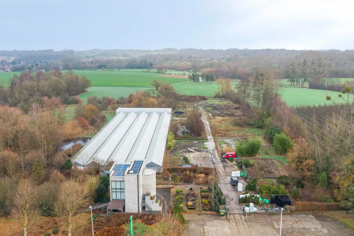 Industrieel terrein te koop Hasseltsesteenweg 461 - - 3700 Tongeren-Borgloon