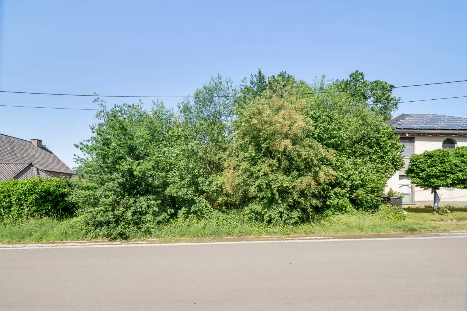 🏡 Bouwgrond voor open bebouwing te koop in Houthalen – perceel van 7a52ca in rustige omgeving 🌳 foto 2
