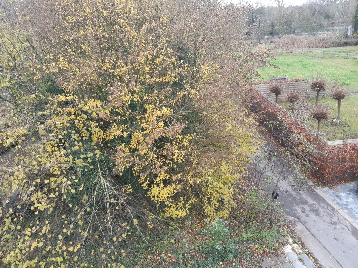 Gezellig 1 slpk-appartement met terras. foto 13