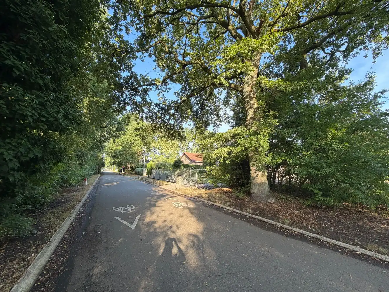 Genk, Kneippstraat 28: Ruime en uitstekend gelegen bouwgrond van 10a 81ca in een natuurrijke omgeving. foto 2