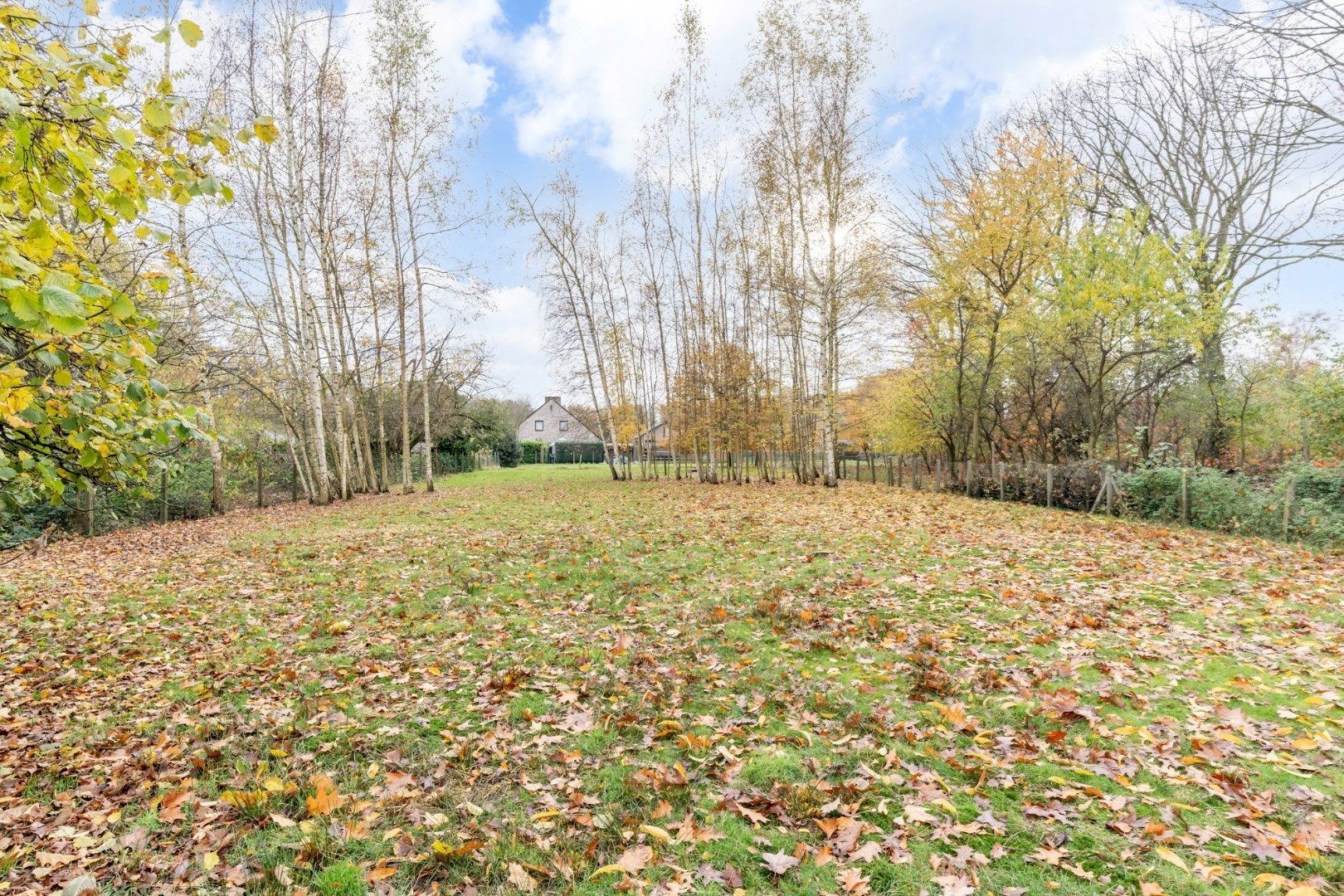 Zeer verzorgde meergezinswoning met prachtige tuin op 31a 40ca - EPC label C ! foto 29