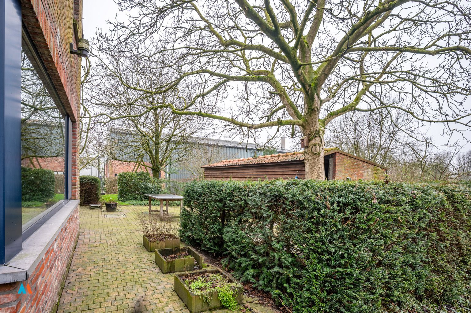 Tuinbouwbedrijf foto 19