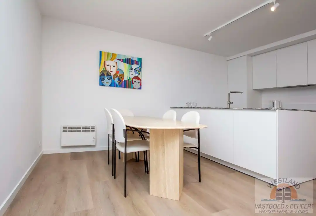 Prachtig appartement met twee slaapkamers foto 9