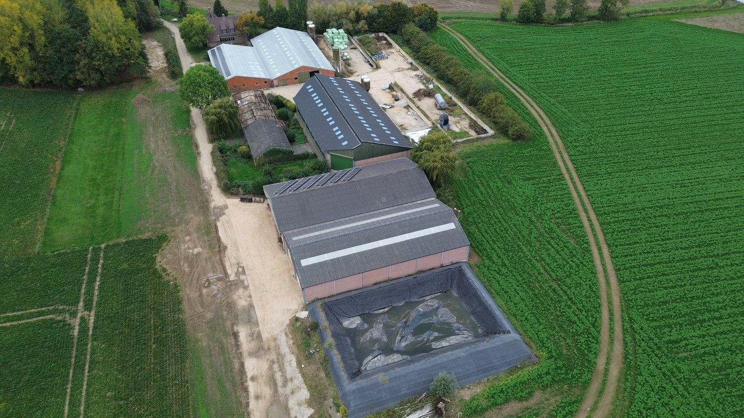 Prachtige boerderij op 1,4 hectare grond in Rekem/Lanaken foto 34